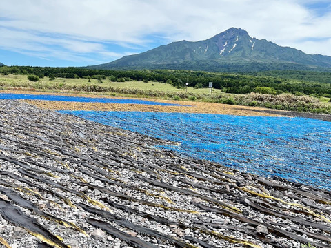 熟成 利尻昆布