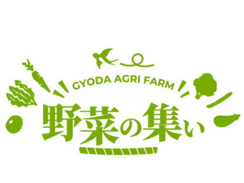 【健やか潤いトマト】ミニ・中玉・大玉トマトの旨みが一度に味わえる食べ比べセット1.8kg　埼玉県行田産