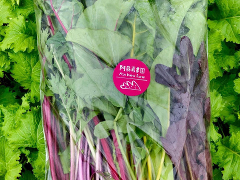 【冬ギフト】阿蘇の天然水で育った！彩り野菜サラダセット　1袋300g✖️3セット