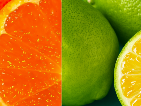 みかん箱込約2㌔レモン箱込約2㌔ 奇跡の出会い！とろける甘さのみかん＆超希少な種なしレモン