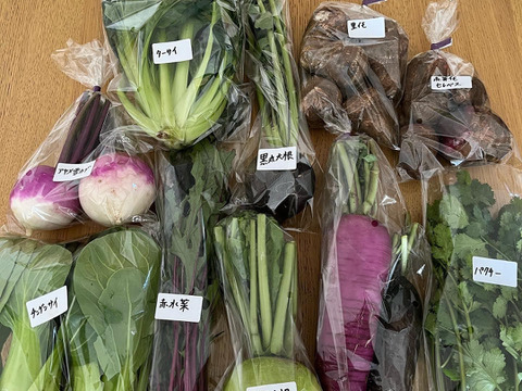 栽培期間中農薬不使用 お任せ野菜セット 80サイズ