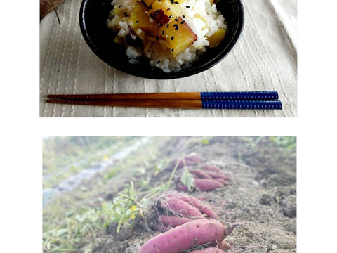 素朴な甘味！懐かしい味”ゆきこまち”1.5kg