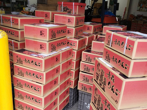 ☆令和７年産予約開始☆
贈り物に大人気✨【大玉贈答用】樹上完熟サンふじ 5kg １４ー１６個　※熨斗対応