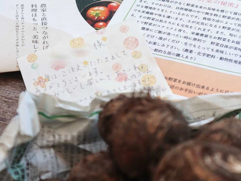 【宮崎県産】美味しい里芋⭐旨い里芋はここにあり⭐(1kg)