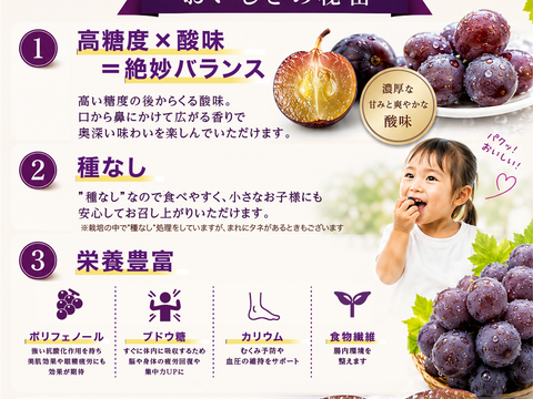 【訳あり】色づき浅めですが濃厚な甘み！加西ゴールデンベリーA【2kg】