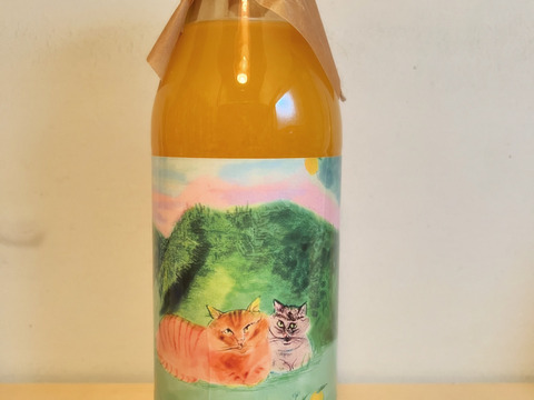 【柑橘おまけ付き】湘南&青島みかんストレートジュース500ml2本＆八朔ストレートジュース500ml2本セット熨斗対応可