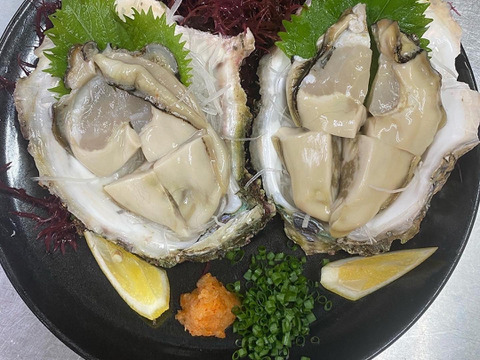 日間賀島産　天然岩牡蠣　特大