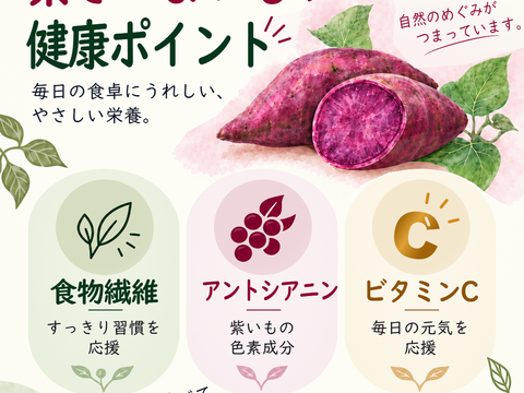 料理で楽しむ紫さつまいも｜パープルスイートロード 4kg：滋賀県産の