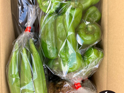 新鮮　野菜セット