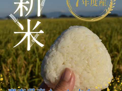 白米10キロ　　9月に刈り取り 白米10キロ9月に刈り取り