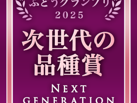 【2026年予約】【山梨限定】サンシャインレッド2房《限定販売》食べチョクぶどうグランプリ総合大賞