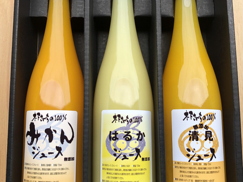【贈り物にもピッタリ】木下さんちの100%ジュース3本セット720ml