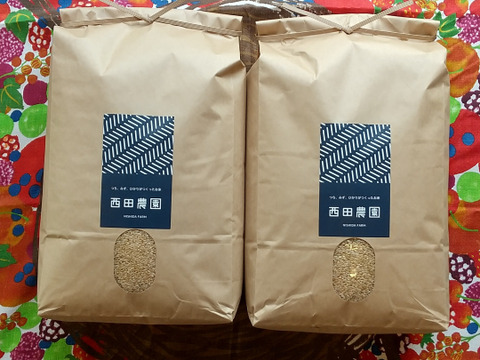 特別栽培米【コシヒカリ 玄米20kg 】令和3年産・有機・低農薬（80％以上削減）
