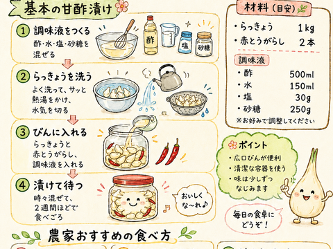 【鳥取県産】毎日の食卓に 洗いらっきょう 2kg