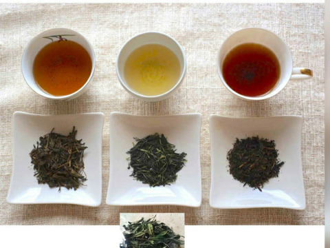 贅沢!世界のお試しお茶セット