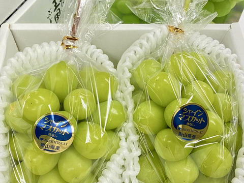 【厳選】岡山県産シャインマスカット【贈答用】　約750g×2房入り【夏ギフト】