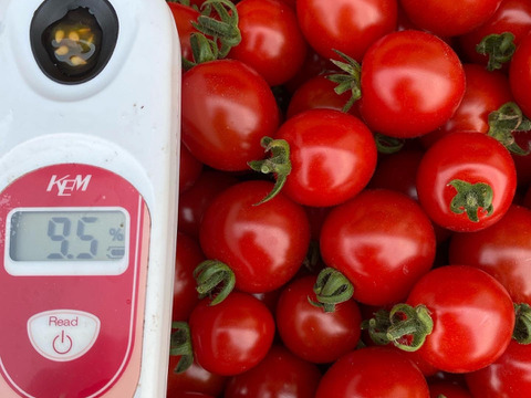 スーパーでは手に入らない野菜セット