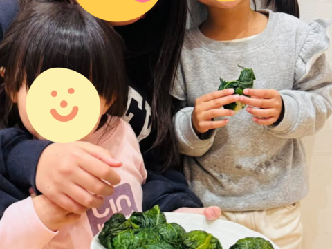 【朝採り発送‼️】新宮産 生高菜「三池高菜」5kg