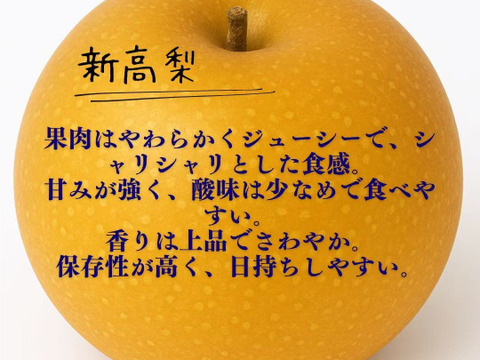 新高梨 あきづき梨 食べ比べセット 栃木産　3キロ(5-6個)