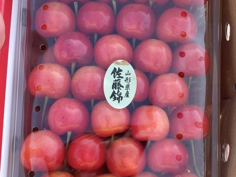 【佐藤錦】さくらんぼ 山形県東根産 500g 手詰め贈答用