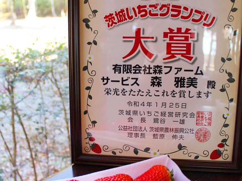 【食べ比べ】紅ほっぺ＆ほしうらら　お届け　JGAP認証【第10回茨城いちごグランプリ大賞】