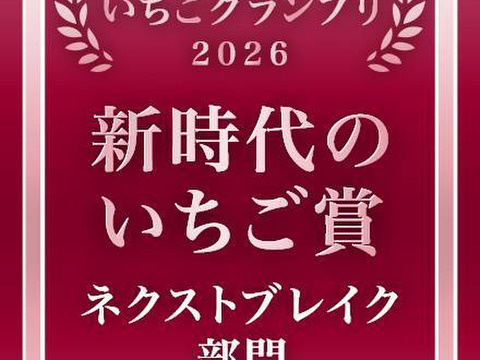 🏆「食べチョクいちごグランプリ2026 」ネクストブレイク部門 新時代のいちご賞受賞【福島県田村市産】農家直送　福島県が10年かけて育てた新品種ゆうやけべりー　平詰め400g前後　完熟新鮮いちご