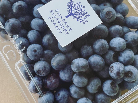 【2025年産予約】訳あり生ブルーベリー茨城県産発送時期7月～8月中旬