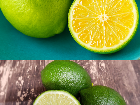 箱込約1㌔×2セット　種なしレモンとマイヤーレモン食べくらべ　（種なしレモン箱込約1㌔　マイヤーレモン箱込約1㌔の食べくらべセット）