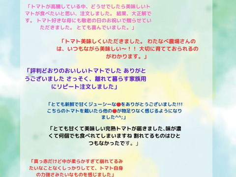リピーター多数☆【自然栽培】大好評!!濃い味中玉トマト🍅✨Ｌ（3,5㎏)