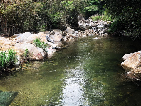 【令和5年】｢新米｣ヒノヒカリ 5kg
『50名限定』イノシシから守り抜いたお米です。byさわちゃん農園