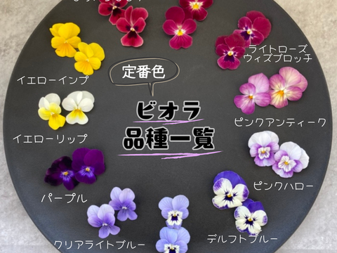 《クール便》【岐阜産】可愛さ満点♪彩り豊か♪　エディブルフラワー ビオラ10輪 年中収穫可能・虫混入無しです！