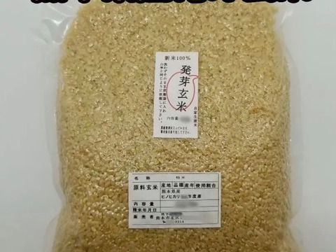 熊本県産 令和7年新米100% 発芽前玄米 2kg ヒノヒカリ れんげ米 レターパックプラス発送