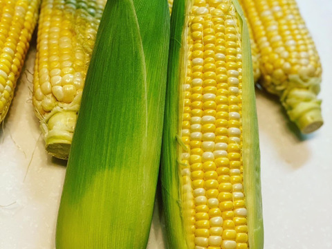 〈黒米おまけ！〉トウモロコシ/枝豆/アスパラ/ズッキーニ【今旬】詰め込みＢＯＸ