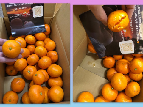 今年もありがとうございました！有田みかん混合3kg！お試し価格