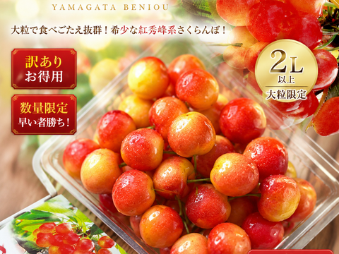 ※残り３箱※早い者勝ち　山形県産　紅王　訳あり　2L〜5L　家庭用