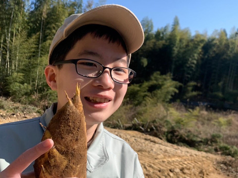 〜朝掘タケノコ8㎏（7〜10本）〜鮮度抜群、香り豊かで みずみずしくエグミが少ない！