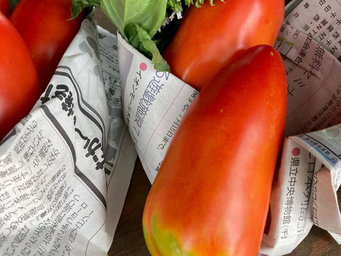 安心・安全な「夏」の旬のおまかせ野菜セット　７～８種類