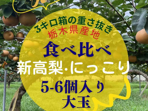 新高梨 にっこり梨 食べ比べセット 栃木産　3キロ(5-6個)