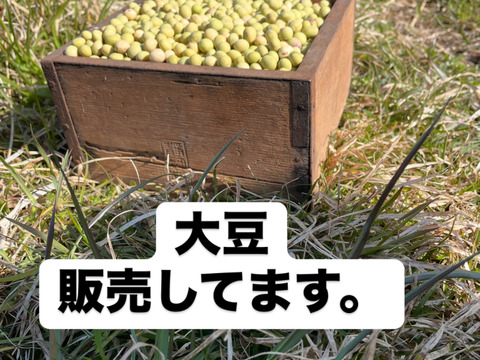 おおすず大豆 令和6年産 農薬・肥料不使用 青森県産 VEGAN BEAN