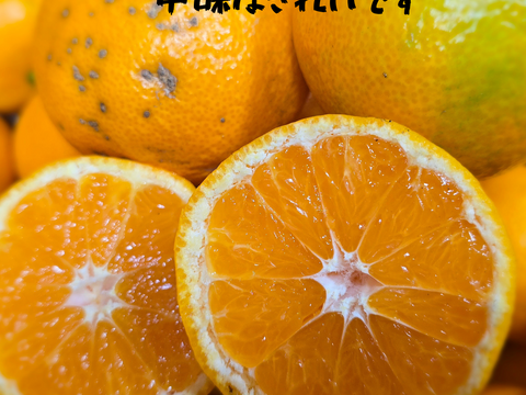 箱込約5㌔　1,000箱以上売れるゲリラセールミカン