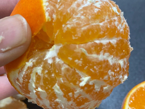 『寒冷地発送』香を食す！超熟成完熟天草ぽんかん。（約3kg）