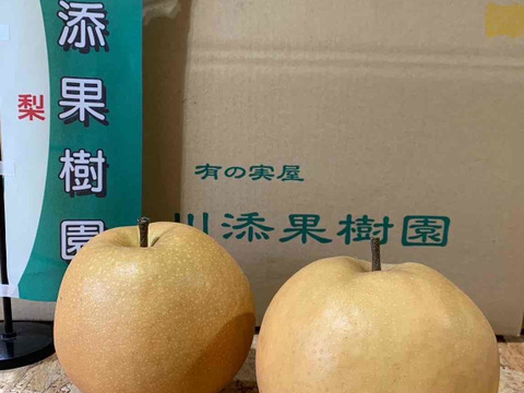 【SORA】二代目川添果樹園のジャンボ新高梨