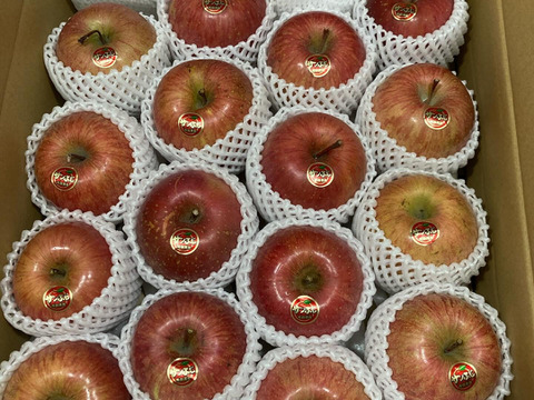 青森県産りんご 大人気 糖度１３%以上保証「リピート多数」雪完熟家庭用サンふじ５Kg１６個入