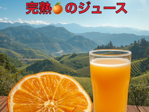 【糖度14度以上の樹上完熟みかん使用】果汁100％ジュース！　「金輝のしずく」　720ml×3