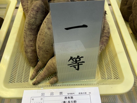 蜜たっぷり！富山県産『紅はるか』(5kg)