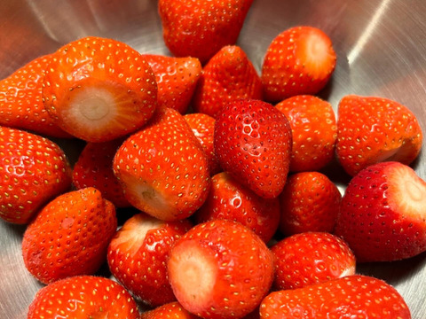 たっぷり1ｋｇ！やよいひめの冷凍イチゴ　ヘタ取り済み真空パック