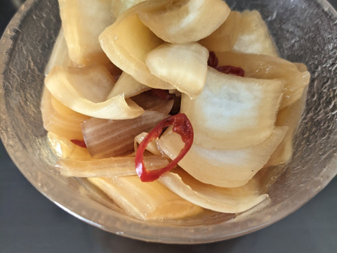 大好評，地層が違う淡路島玉ねぎ、訳ありアンサー(風袋込み5キロ)