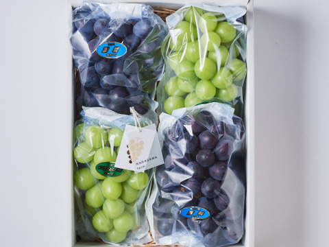 シャインマスカット　箱込み6k  にょろ 山形シャインマスカットきらら 1箱（6個入り） | 加藤物産