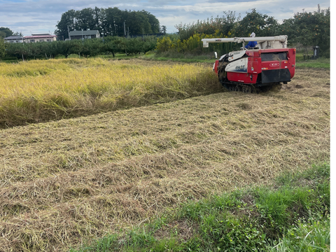 令和7年産新米　玄米5kg　コシヒカリ「福島県産お米」