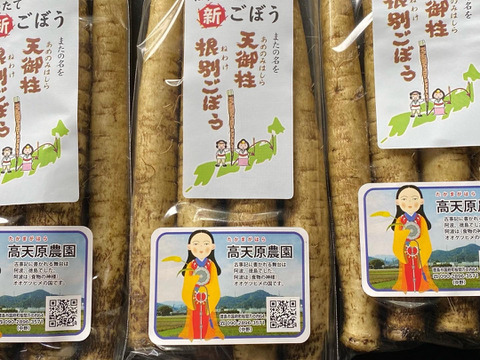 掘りたて新ごぼう　またの名を天御柱根別ごぼう　1kg